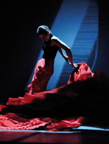 Flamenco Hoy